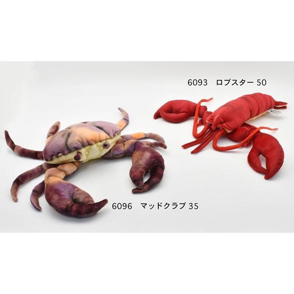 BH6096 マッドクラブ HANSA　まっどくらぶ かに カニ 蟹 ぬいぐるみ リアル 爆買 母の日 | HANSA（ぬいぐるみ） | 07