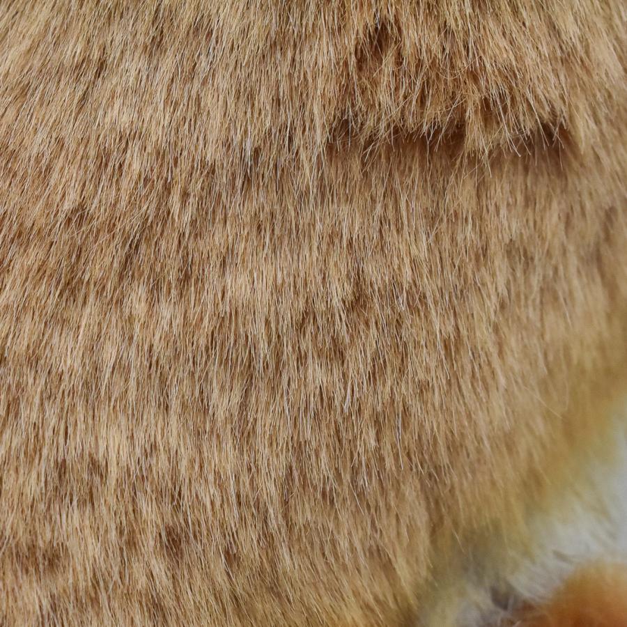 BH6098 アカギツネ HANSA　キツネ きつね 狐 ぬいぐるみ リアル | HANSA（ぬいぐるみ） | 04