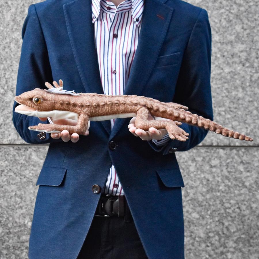 BH6100 ムカシトカゲ HANSA　むかしとかげ ぬいぐるみ リアル | HANSA（ぬいぐるみ） | 07