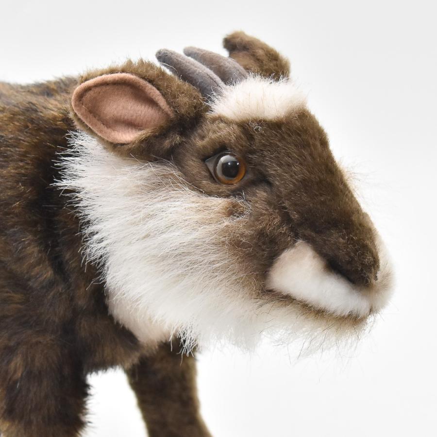 HANSA BH6213 ニホンカモシカ かもしか 鹿 ぬいぐるみ リアル : Dear