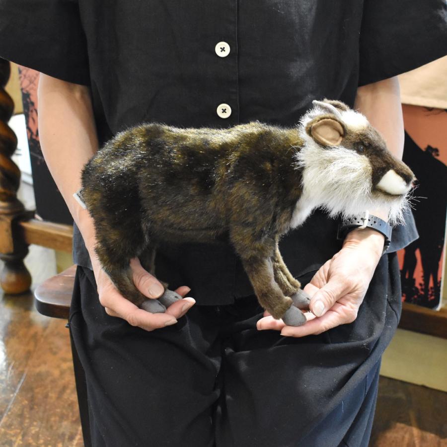 BH6213 ニホンカモシカ HANSA　かもしか 鹿 ぬいぐるみ リアル | HANSA（ぬいぐるみ） | 08