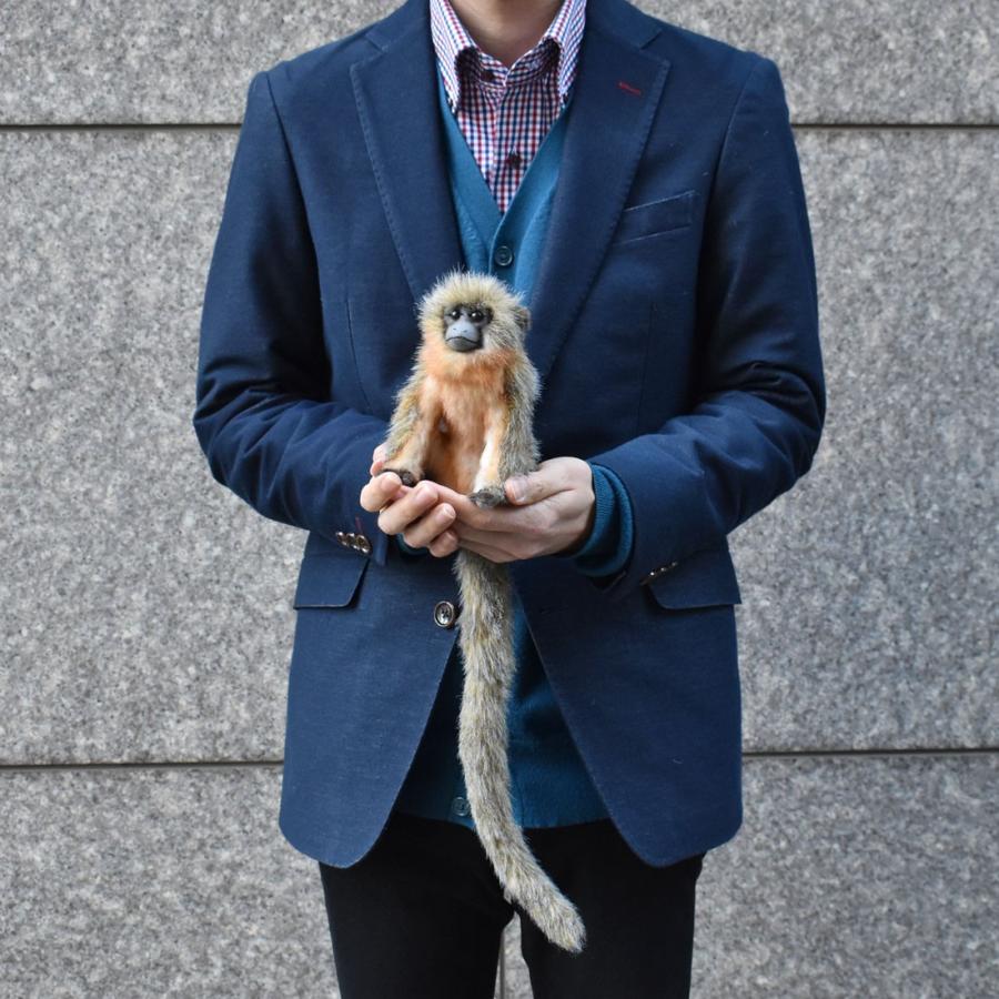 BH6230 ティティモンキー HANSA　てぃてぃもんきー さる サル 猿 ぬいぐるみ リアル | HANSA（ぬいぐるみ） | 07