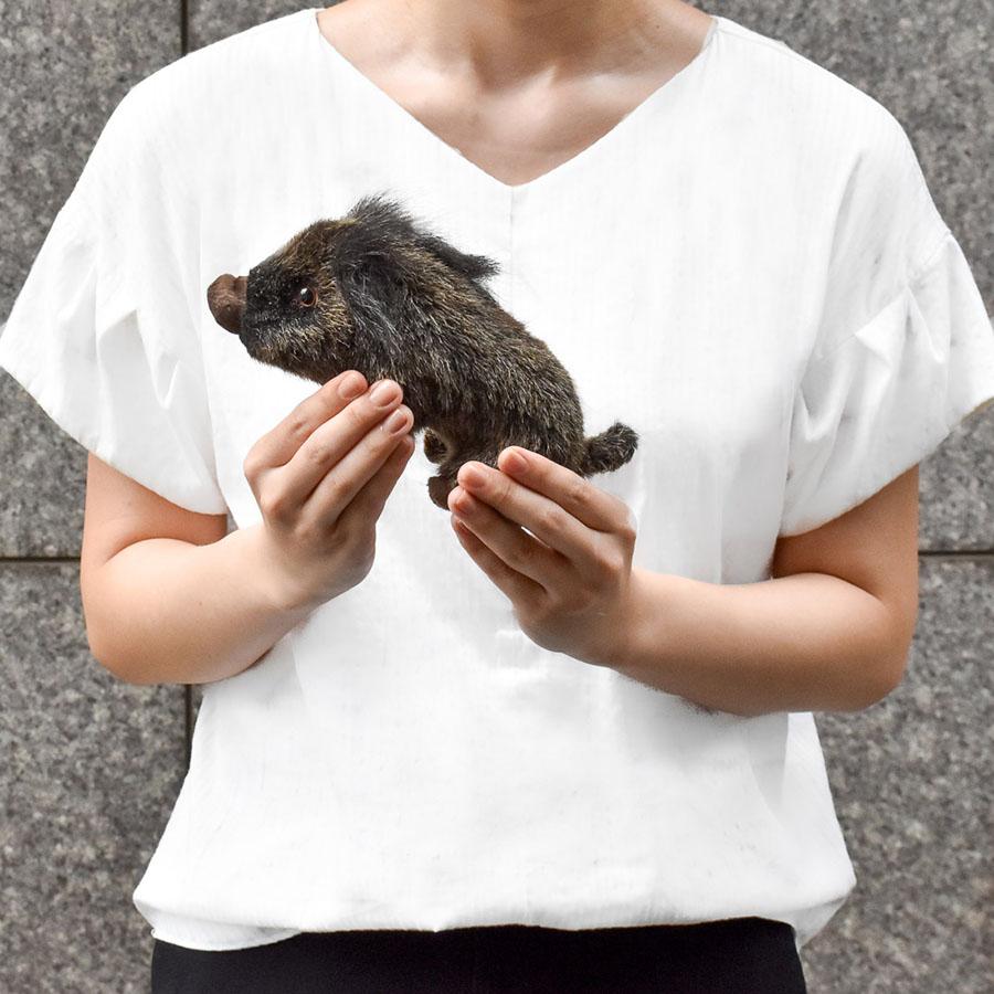 BH6282 イノシシ HANSA　いのしし 猪 ぬいぐるみ リアル | HANSA（ぬいぐるみ） | 05
