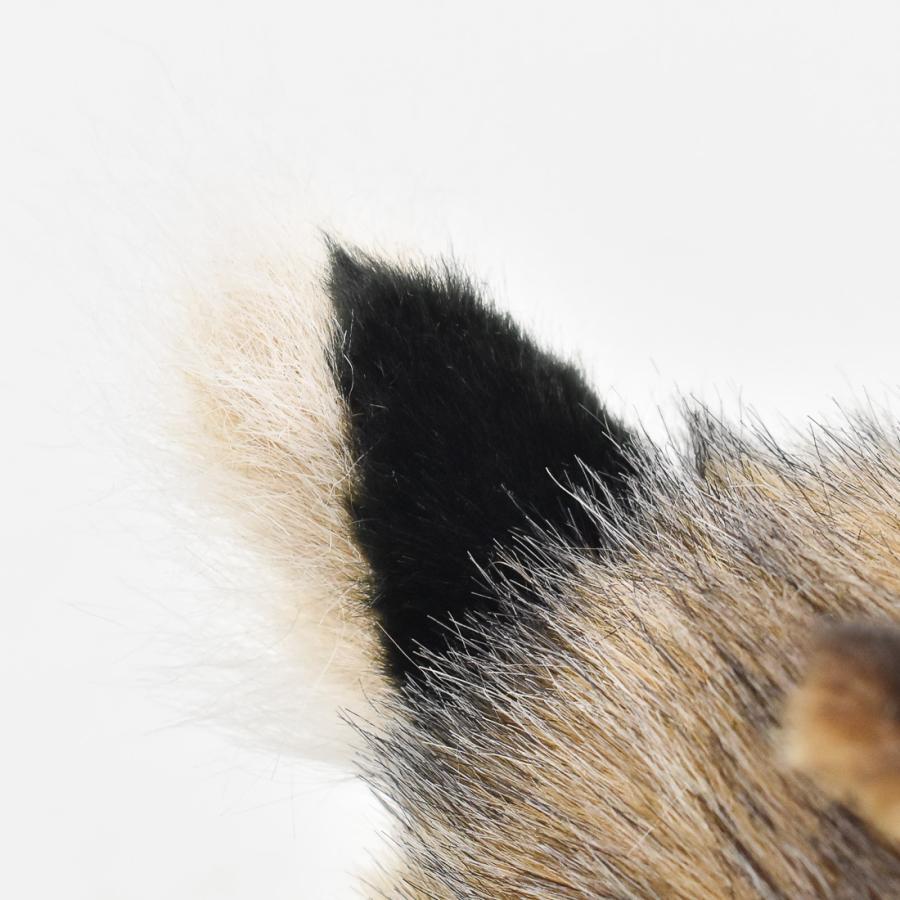 BH6284 オグロウサギ HANSA　おぐろうさぎ 兎 ぬいぐるみ リアル | HANSA（ぬいぐるみ） | 06