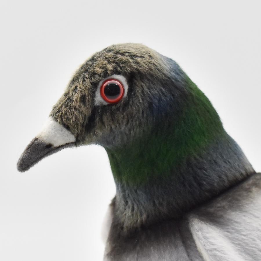 BH6299 ハト HANSA　はと 鳩 とり トリ 鳥 ぬいぐるみ リアル | HANSA（ぬいぐるみ） | 03