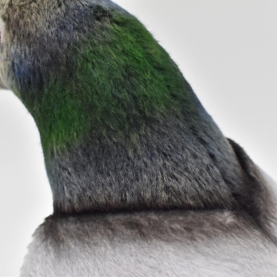 HANSA（ぬいぐるみ） BH6299 ハト HANSA はと 鳩 とり トリ 鳥