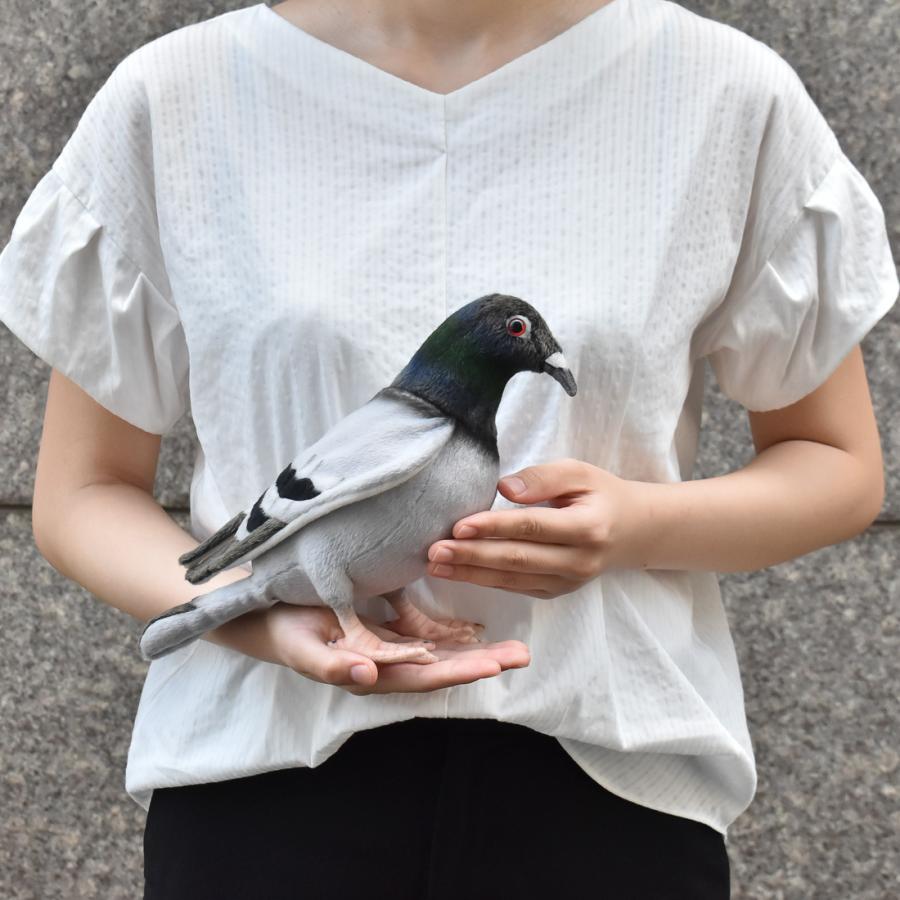 BH6299 ハト HANSA　はと 鳩 とり トリ 鳥 ぬいぐるみ リアル | HANSA（ぬいぐるみ） | 08