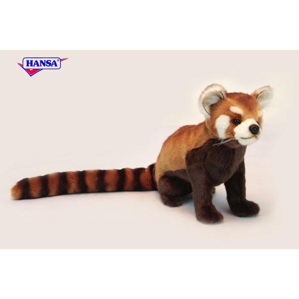 BH6301 レッサーパンダ HANSA　れっさーぱんだ 小熊猫 ぬいぐるみ リアル | HANSA（ぬいぐるみ）