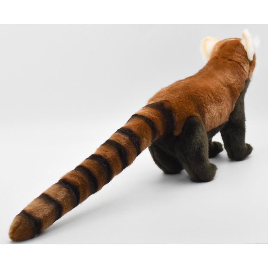 HANSA（ぬいぐるみ） BH6309 レッサーパンダ HANSA れっさーぱんだ 小