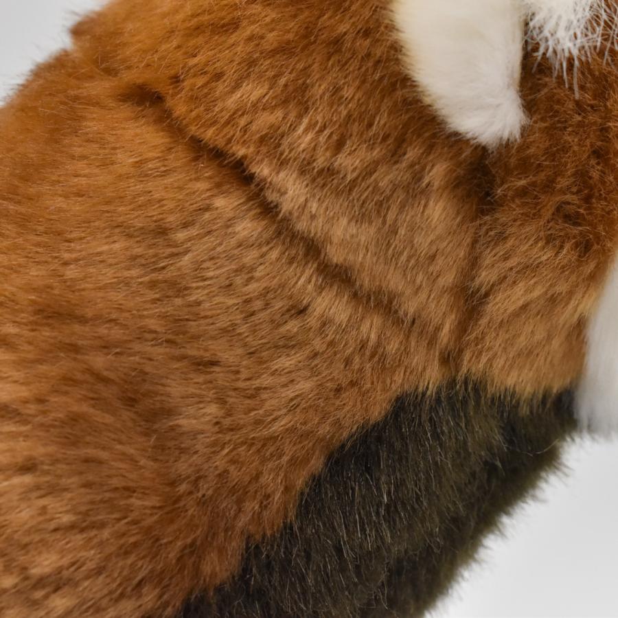 BH6309 レッサーパンダ HANSA　れっさーぱんだ 小熊猫 ぬいぐるみ リアル 爆買 母の日 | HANSA（ぬいぐるみ） | 04