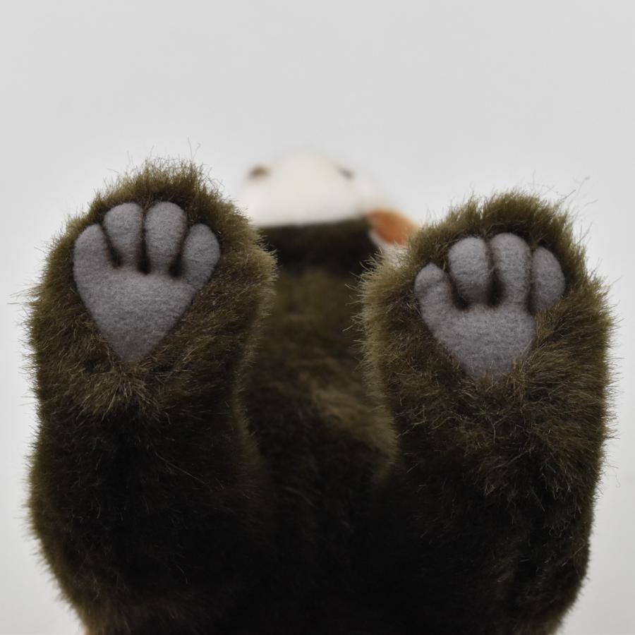 BH6309 レッサーパンダ HANSA　れっさーぱんだ 小熊猫 ぬいぐるみ リアル 爆買 母の日 | HANSA（ぬいぐるみ） | 05