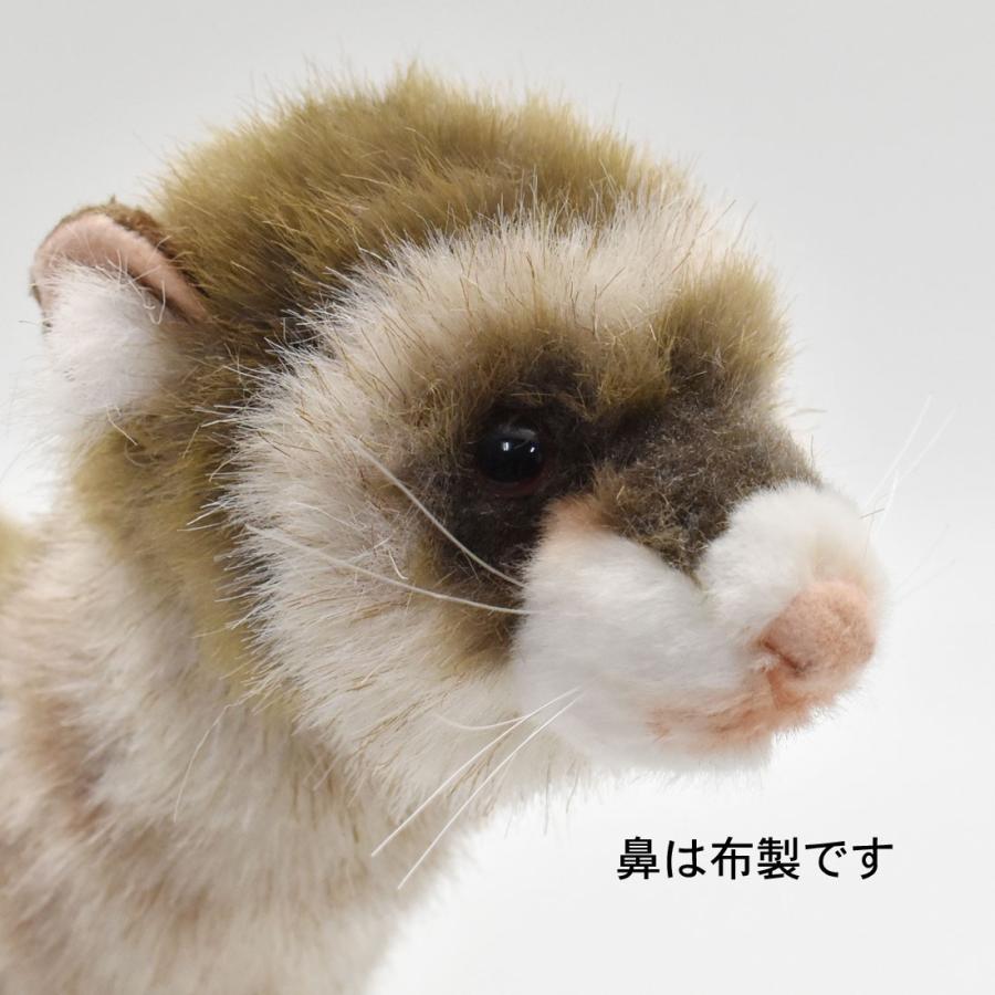 BH6310 フェレット HANSA　ふぇれっと ぬいぐるみ リアル | HANSA（ぬいぐるみ） | 06