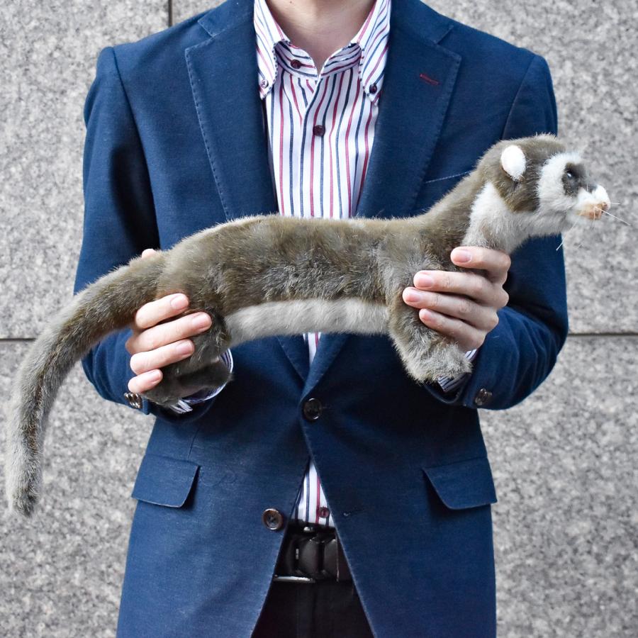 BH6310 フェレット HANSA　ふぇれっと ぬいぐるみ リアル | HANSA（ぬいぐるみ） | 07