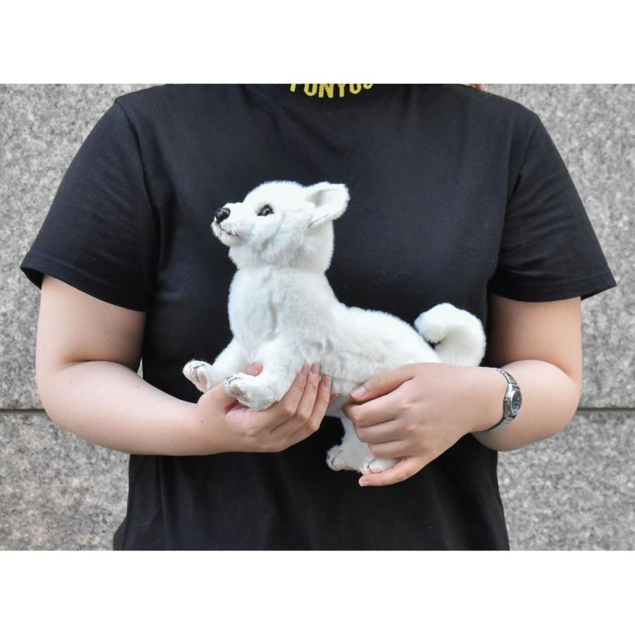 BH6342 ホッカイドウケン HANSA　北海道犬 ほっかいどういぬ ホッカイドウイヌ ぬいぐるみ リアル | HANSA（ぬいぐるみ） | 08