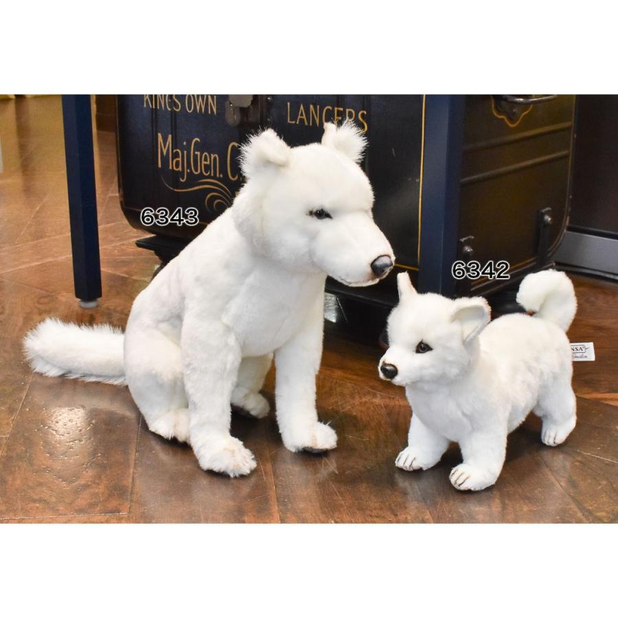BH6343 ホッカイドウケン HANSA　北海道犬 ほっかいどういぬ ホッカイドウイヌ ぬいぐるみ リアル | HANSA（ぬいぐるみ） | 08