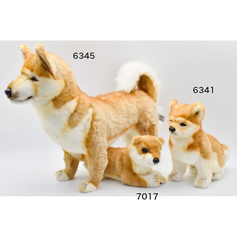 BH6345 シバイヌ HANSA　柴犬 しばいぬ シバイヌ ぬいぐるみ リアル | HANSA（ぬいぐるみ） | 09