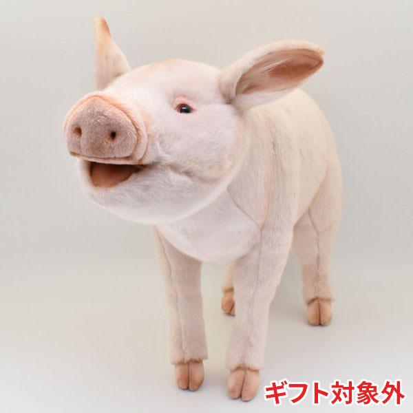 BH6347 ブタ HANSA　ぶた 豚 ぬいぐるみ リアル | HANSA（ぬいぐるみ）