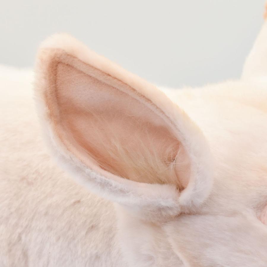 BH6347 ブタ HANSA　ぶた 豚 ぬいぐるみ リアル | HANSA（ぬいぐるみ） | 06