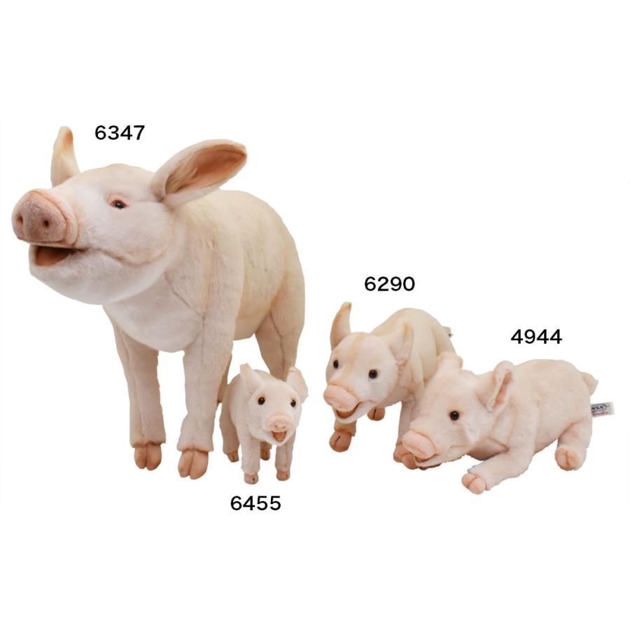 BH6347 ブタ HANSA　ぶた 豚 ぬいぐるみ リアル | HANSA（ぬいぐるみ） | 07