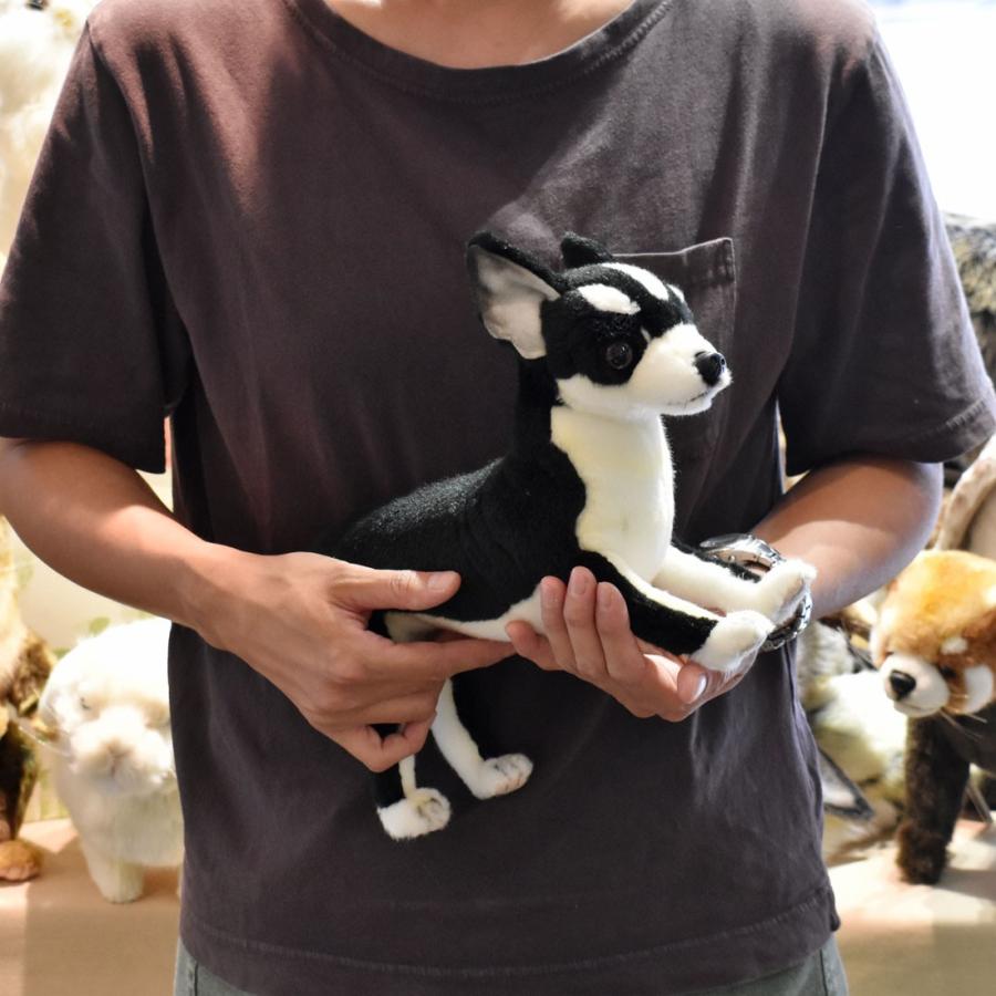 HANSA(ぬいぐるみ) BH6367 チワワ ブラック HANSA ちわわ くろ HANSA(ぬいぐるみ) BH6367 チワワ ブラック HANSA ちわわ くろ