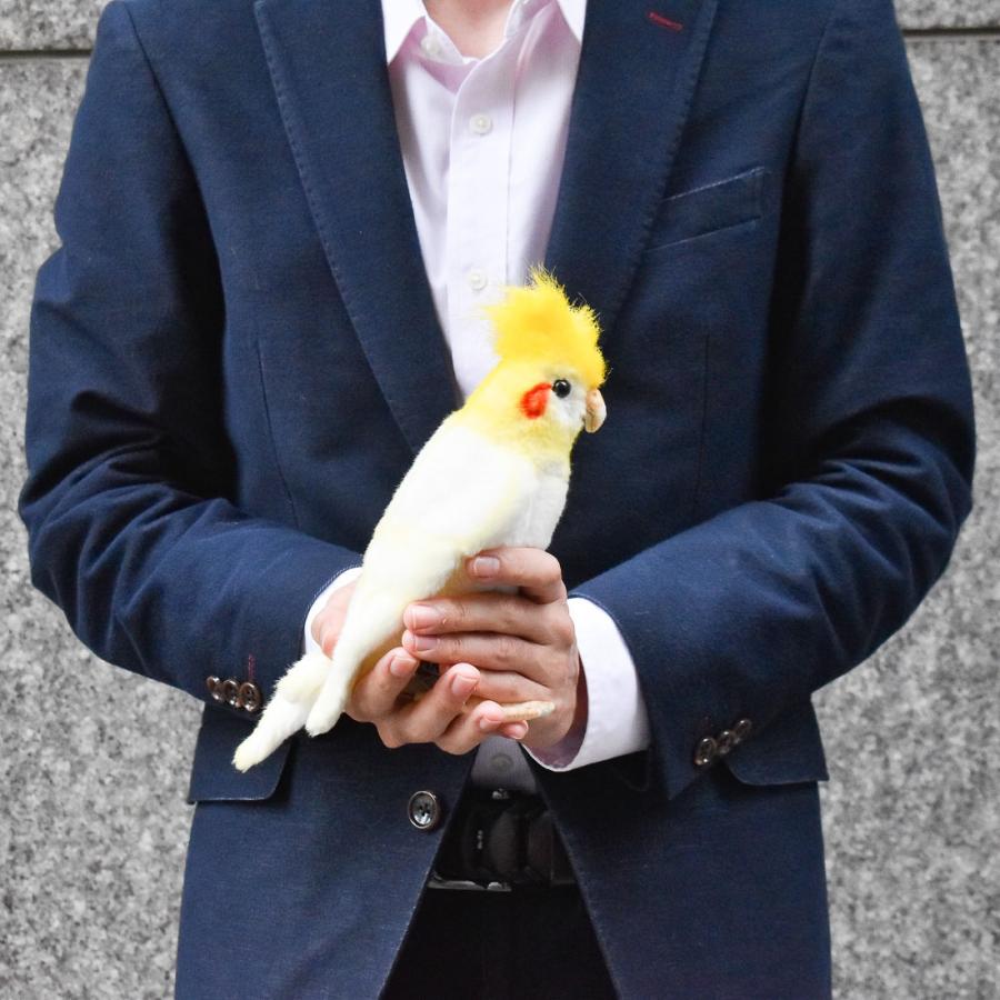 BH6457 オカメインコ ルチノー HANSA　おかめいんこ るちのー とり トリ 鳥 ぬいぐるみ リアル | HANSA（ぬいぐるみ） | 10