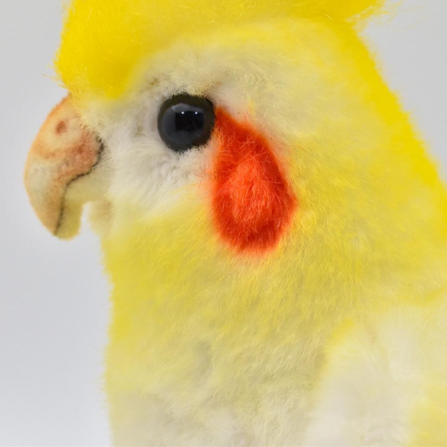 BH6457 オカメインコ ルチノー HANSA　おかめいんこ るちのー とり トリ 鳥 ぬいぐるみ リアル | HANSA（ぬいぐるみ） | 04