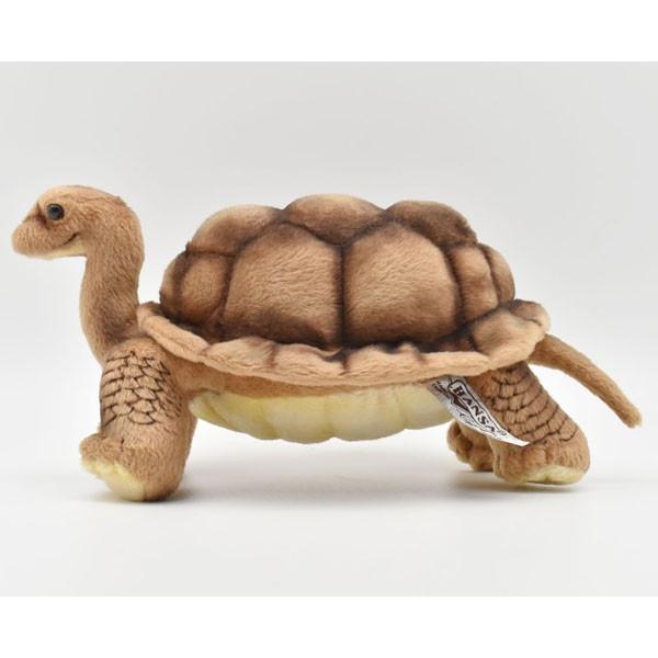 BH6461 ゾウガメ HANSA　ぞうがめ カメ かめ 象亀 ぬいぐるみ リアル | HANSA（ぬいぐるみ） | 01
