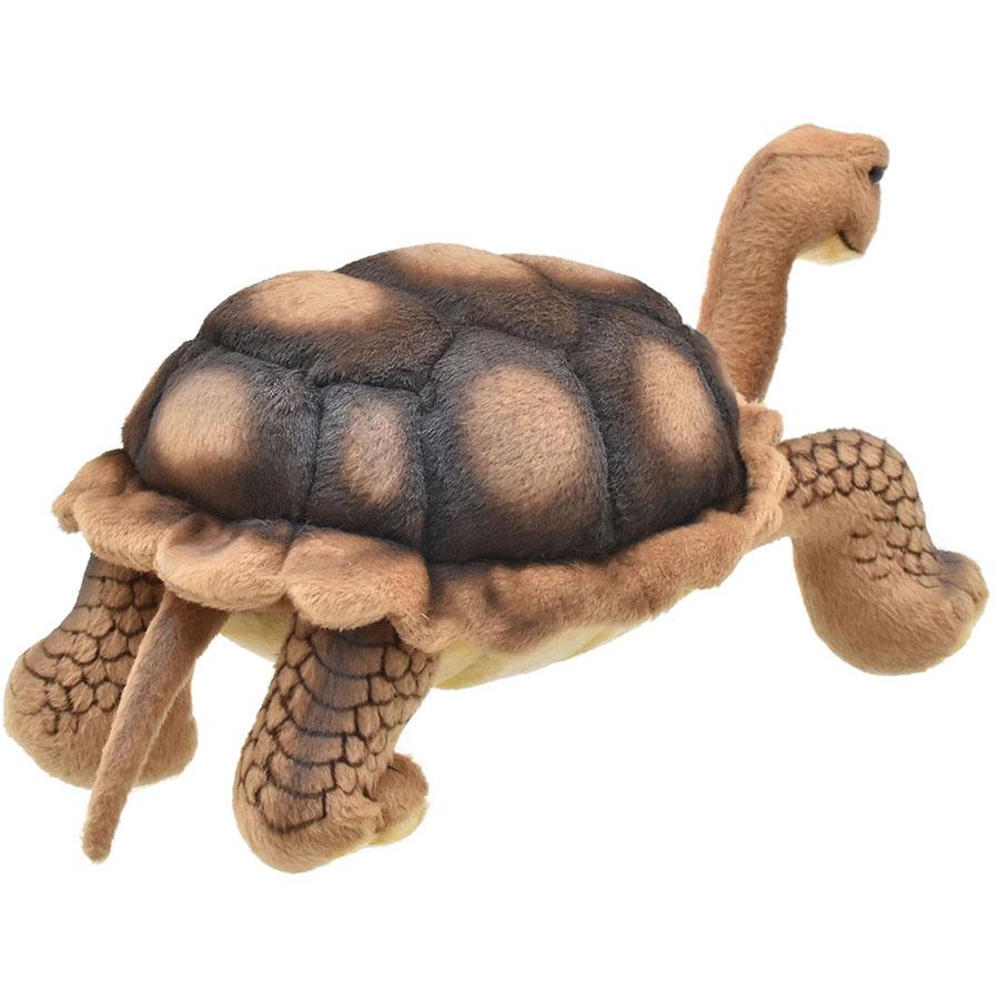 BH6461 ゾウガメ HANSA　ぞうがめ カメ かめ 象亀 ぬいぐるみ リアル | HANSA（ぬいぐるみ） | 02