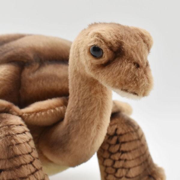 BH6461 ゾウガメ HANSA　ぞうがめ カメ かめ 象亀 ぬいぐるみ リアル | HANSA（ぬいぐるみ） | 03