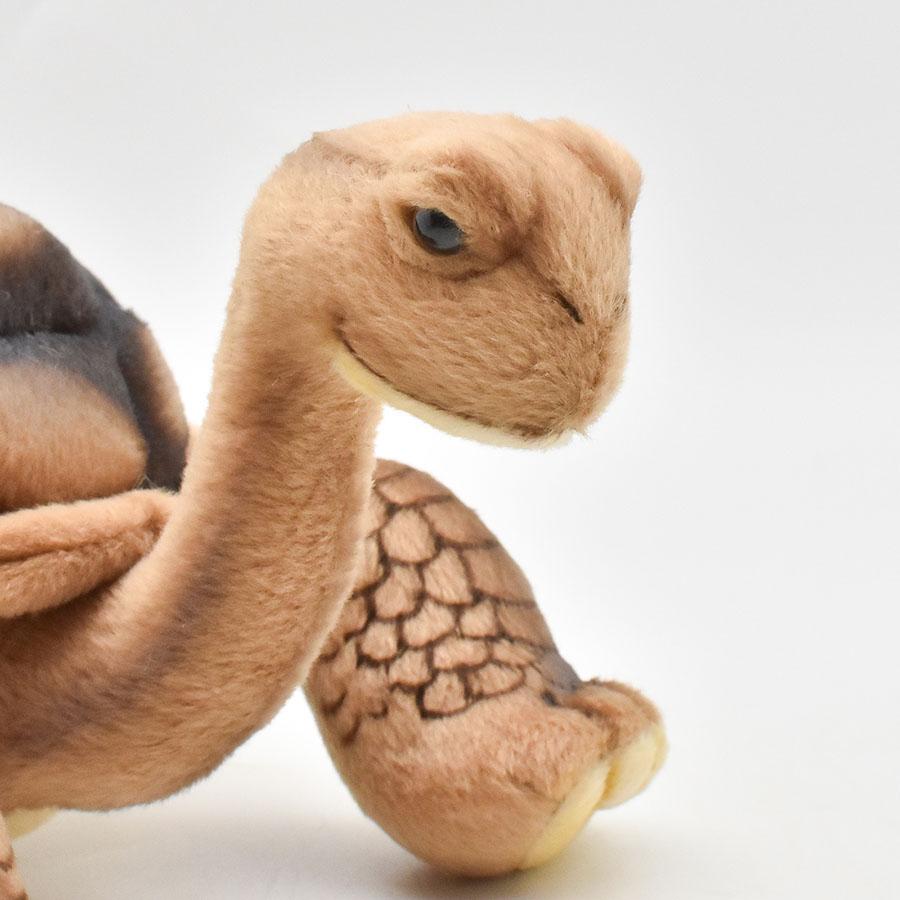 BH6461 ゾウガメ HANSA　ぞうがめ カメ かめ 象亀 ぬいぐるみ リアル | HANSA（ぬいぐるみ） | 05