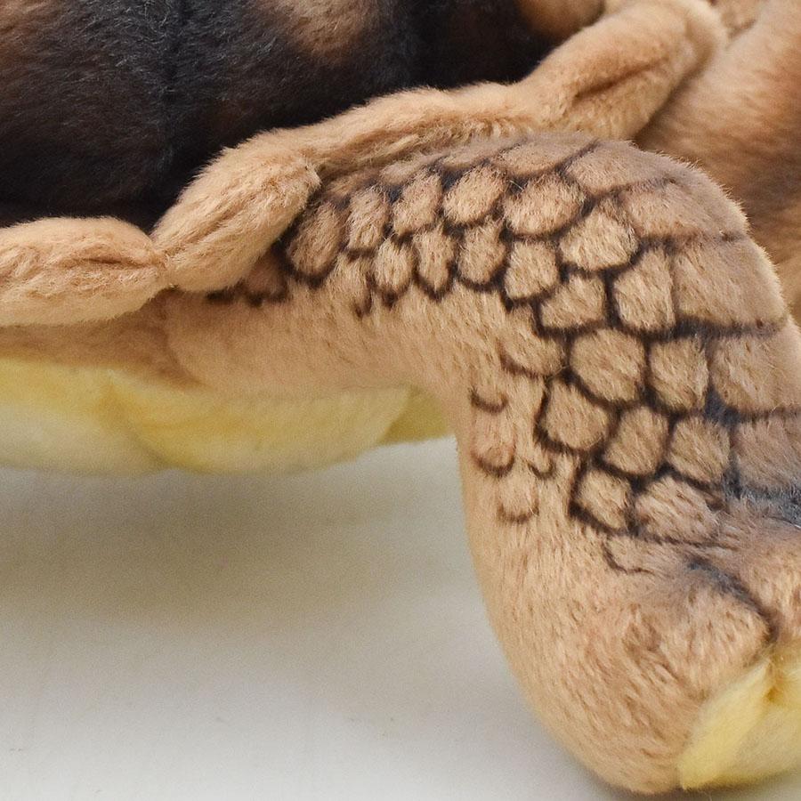 BH6461 ゾウガメ HANSA　ぞうがめ カメ かめ 象亀 ぬいぐるみ リアル | HANSA（ぬいぐるみ） | 06