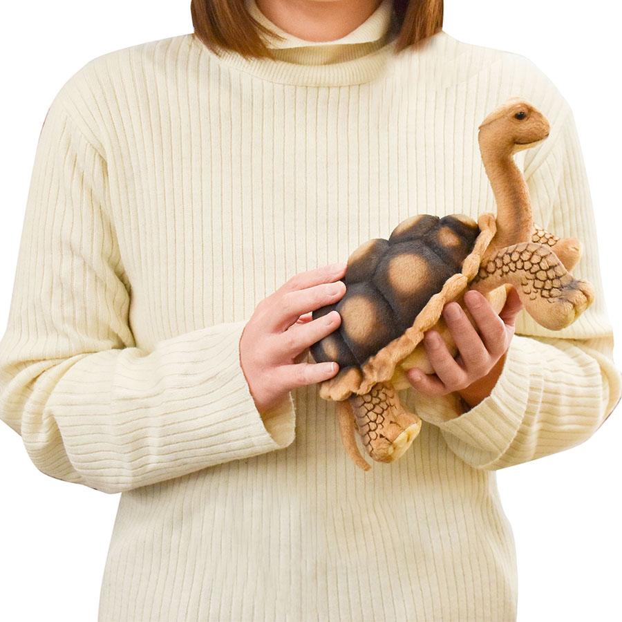 BH6461 ゾウガメ HANSA　ぞうがめ カメ かめ 象亀 ぬいぐるみ リアル | HANSA（ぬいぐるみ） | 07
