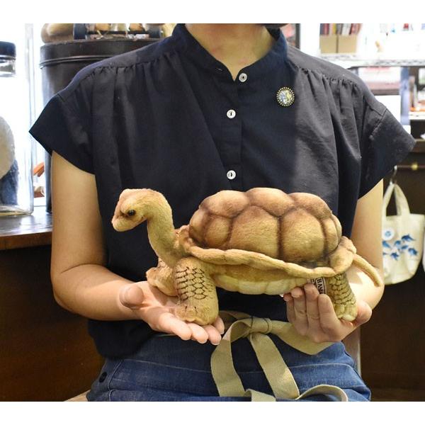 ゾウs・m 亀 HANSA（ぬいぐるみ） BH6461 ゾウガメ HANSA ぞうがめ カメ かめ