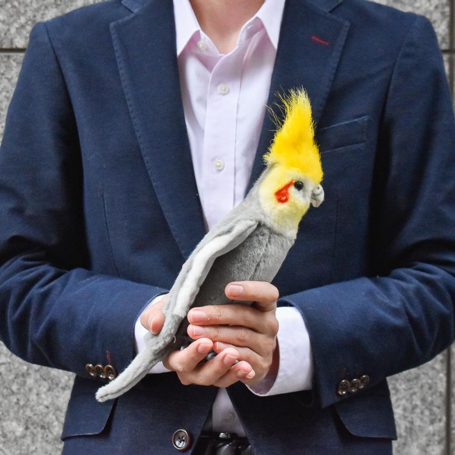 BH6470 オカメインコ グレー HANSA　おかめいんこ ぐれー とり トリ 鳥 ぬいぐるみ リアル | HANSA（ぬいぐるみ） | 10