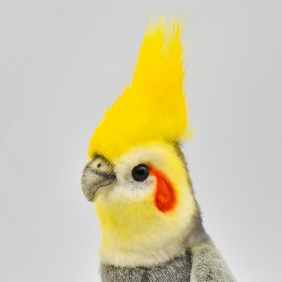 BH6470 オカメインコ グレー HANSA　おかめいんこ ぐれー とり トリ 鳥 ぬいぐるみ リアル | HANSA（ぬいぐるみ） | 03