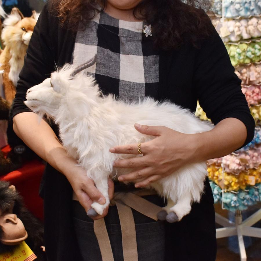 BH6486 アンゴラヤギ HANSA　あんごらやぎ 山羊 ぬいぐるみ リアル | HANSA（ぬいぐるみ） | 08