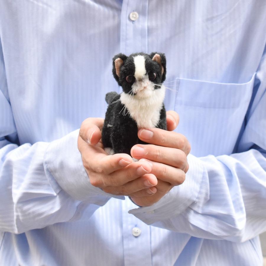 BH6487 ネコ 仔 ブラック HANSA　ねこ 猫 くろ 黒 こども 子供 ぬいぐるみ リアル | HANSA（ぬいぐるみ） | 07