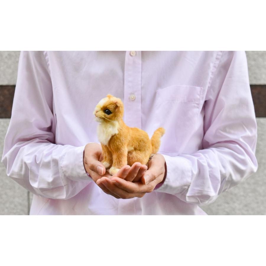 BH6489 ネコ 仔 ベージュ HANSA　ねこ 猫 こども 子供 ぬいぐるみ リアル | HANSA（ぬいぐるみ） | 07