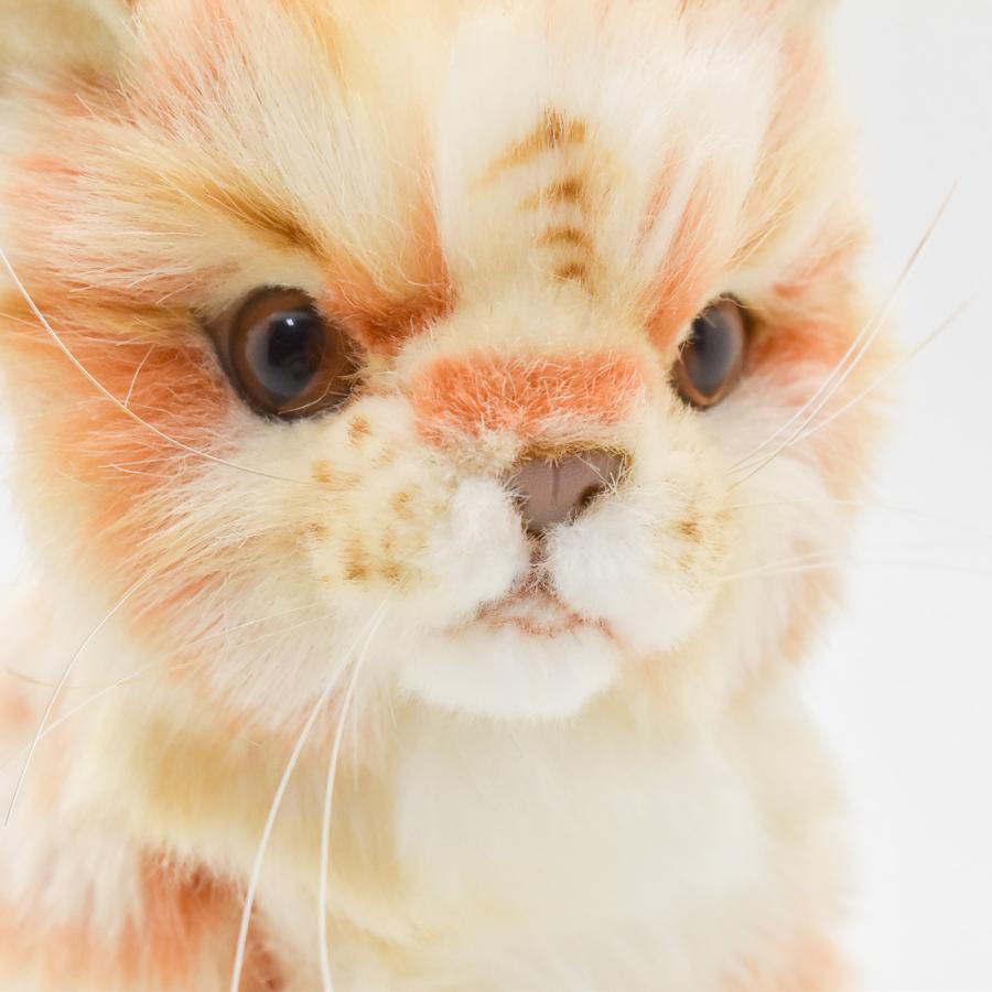 BH6492 ネコ 仔 ジンジャー HANSA　ねこ 猫 こども 子供 ぬいぐるみ リアル | HANSA（ぬいぐるみ） | 07