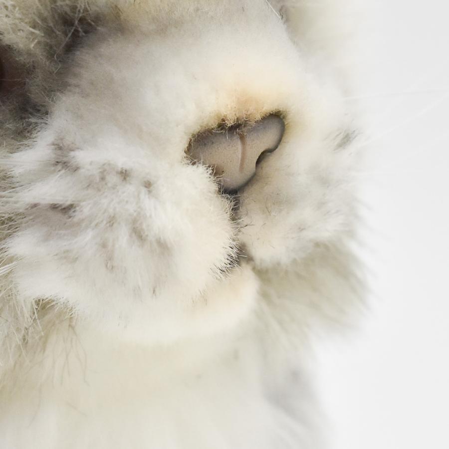 BH6493 ネコ 仔 グレー HANSA　ねこ 猫 こども 子供 ぬいぐるみ リアル | HANSA（ぬいぐるみ） | 07