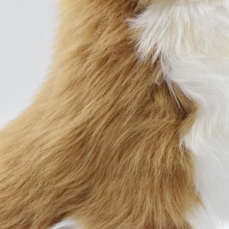 BH6502 チワワ HANSA　ちわわ いぬ イヌ 犬 ぬいぐるみ リアル | HANSA（ぬいぐるみ） | 04