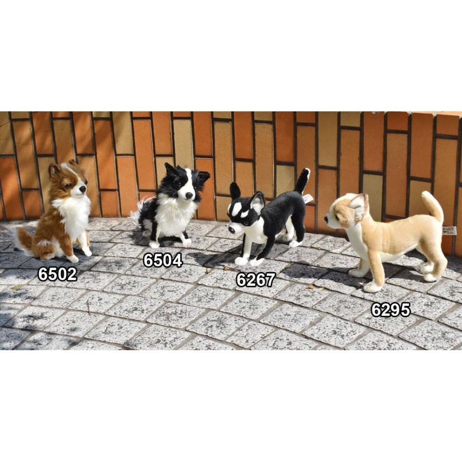HANSA(ぬいぐるみ) BH6502 チワワ HANSA ちわわ いぬ イヌ 犬 HANSA(ぬいぐるみ) BH6502 チワワ HANSA ちわわ いぬ イヌ 犬