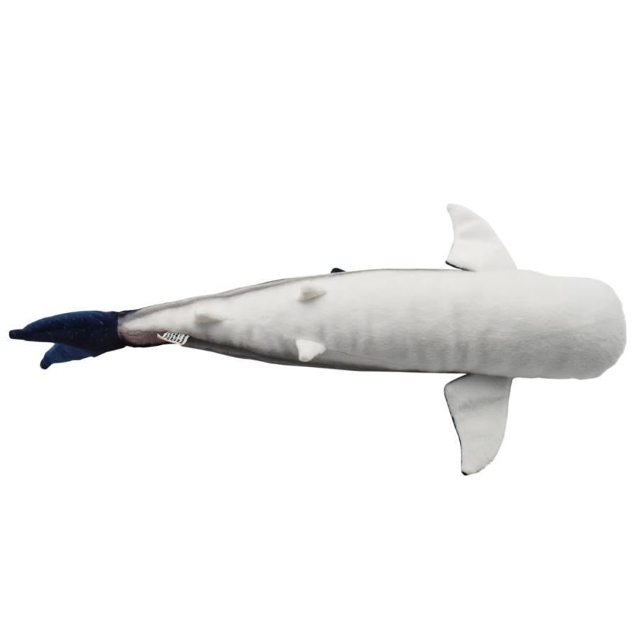 BH6508 ジンベエザメ HANSA　じんべえざめ さめ サメ 鮫 ぬいぐるみ リアル おもちゃ 置物｜dearbear｜07