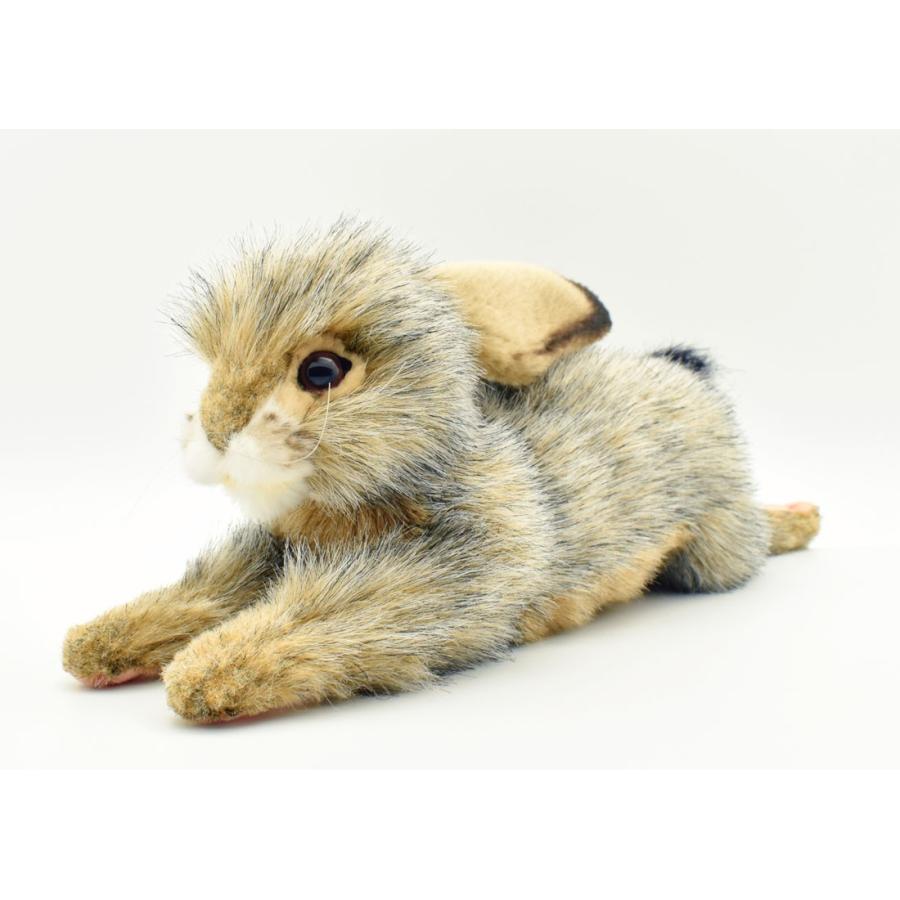 HANSA BH6520 オグロウサギ おぐろうさぎ 兎 ぬいぐるみ リアル : Dear
