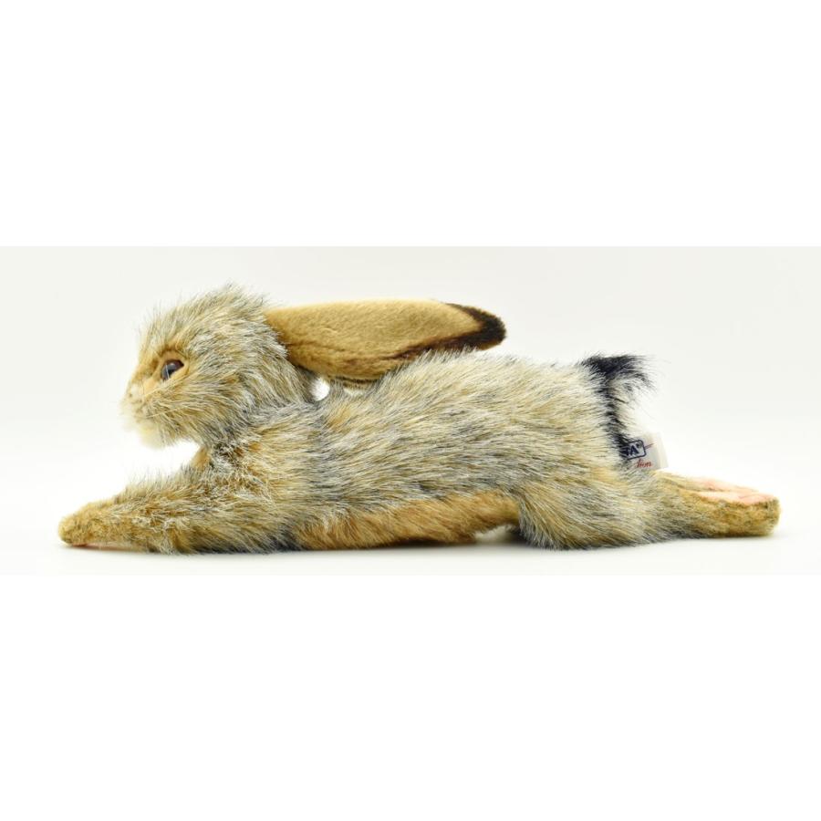 HANSA BH6520 オグロウサギ おぐろうさぎ 兎 ぬいぐるみ リアル : Dear