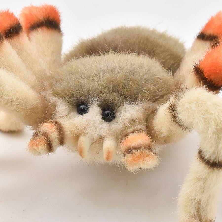 HANSA BH6556 ハエトリグモ はえとりぐも くも 蜘蛛 昆虫 むし