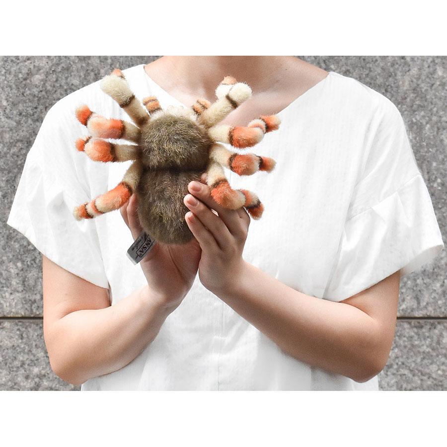BH6556 ハエトリグモ HANSA　はえとりぐも くも 蜘蛛 昆虫 むし ぬいぐるみ リアル | HANSA（ぬいぐるみ） | 06