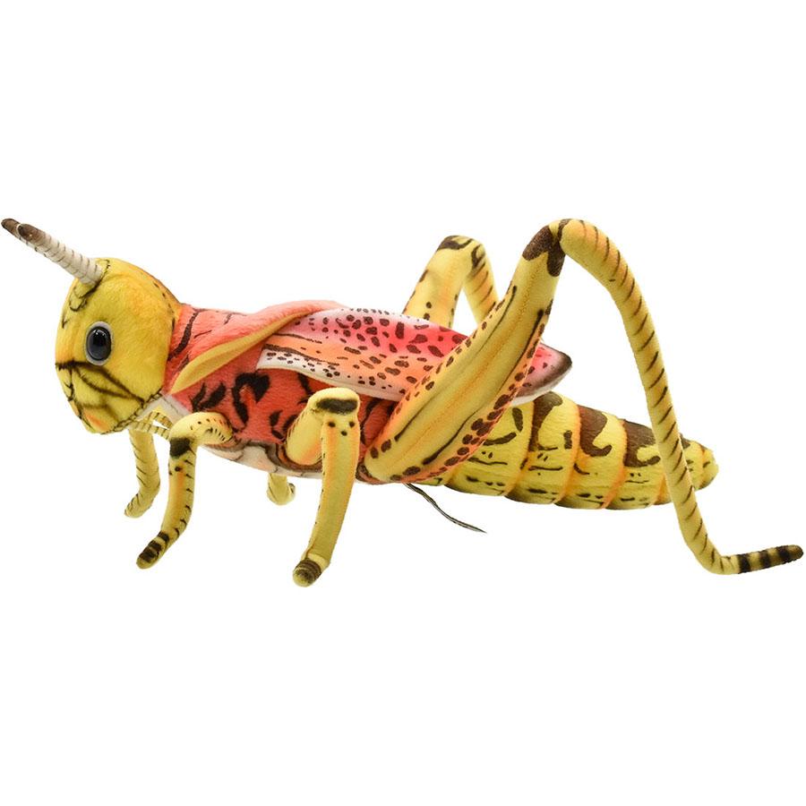 BH6569 バッタ27 HANSA　ばった 飛蝗 昆虫 むし ぬいぐるみ リアル | HANSA（ぬいぐるみ） | 01