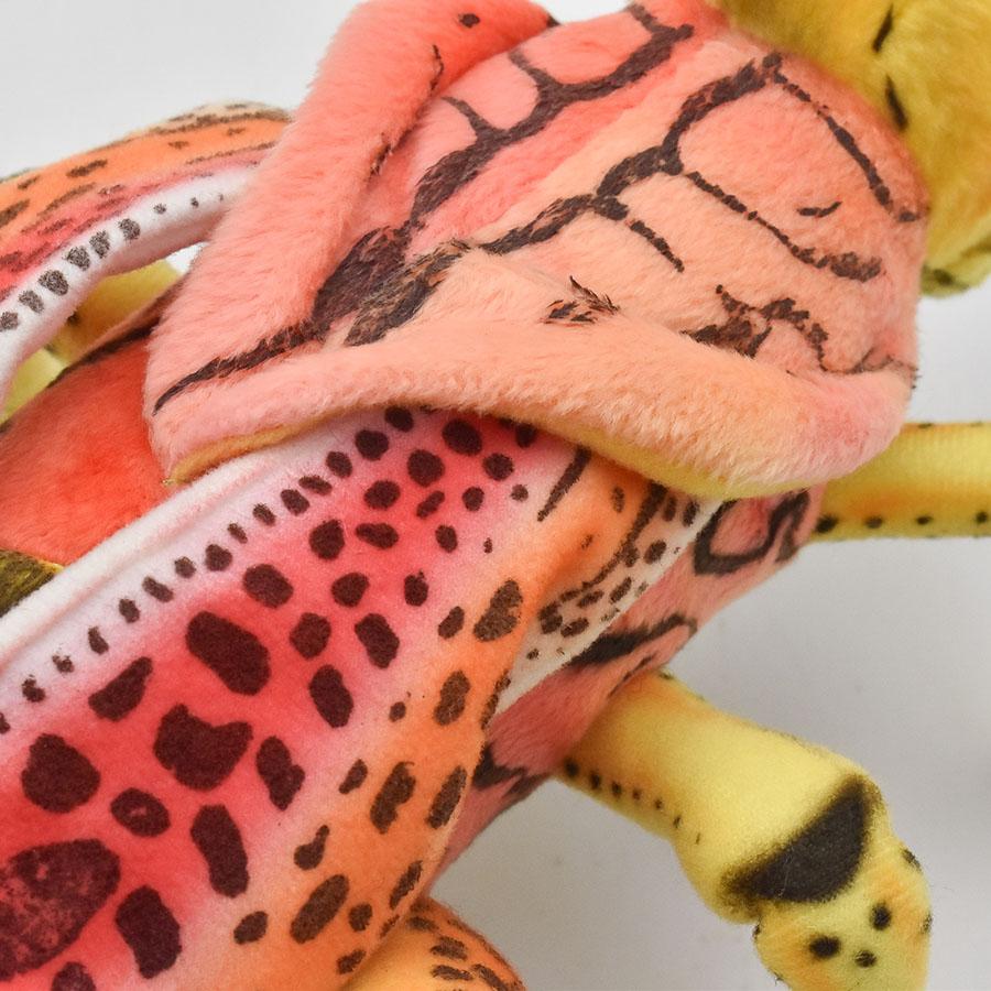 BH6569 バッタ27 HANSA　ばった 飛蝗 昆虫 むし ぬいぐるみ リアル | HANSA（ぬいぐるみ） | 05