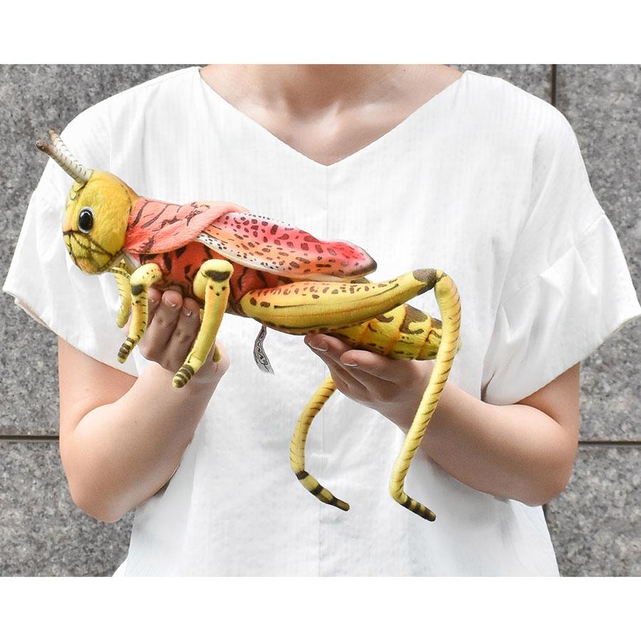BH6569 バッタ27 HANSA　ばった 飛蝗 昆虫 むし ぬいぐるみ リアル | HANSA（ぬいぐるみ） | 06